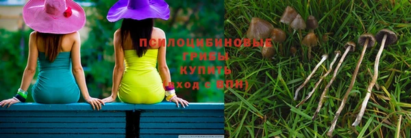 сатива Абаза