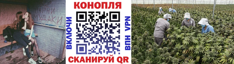 МАРИХУАНА White Widow  наркота  МЕГА зеркало  Котовск 